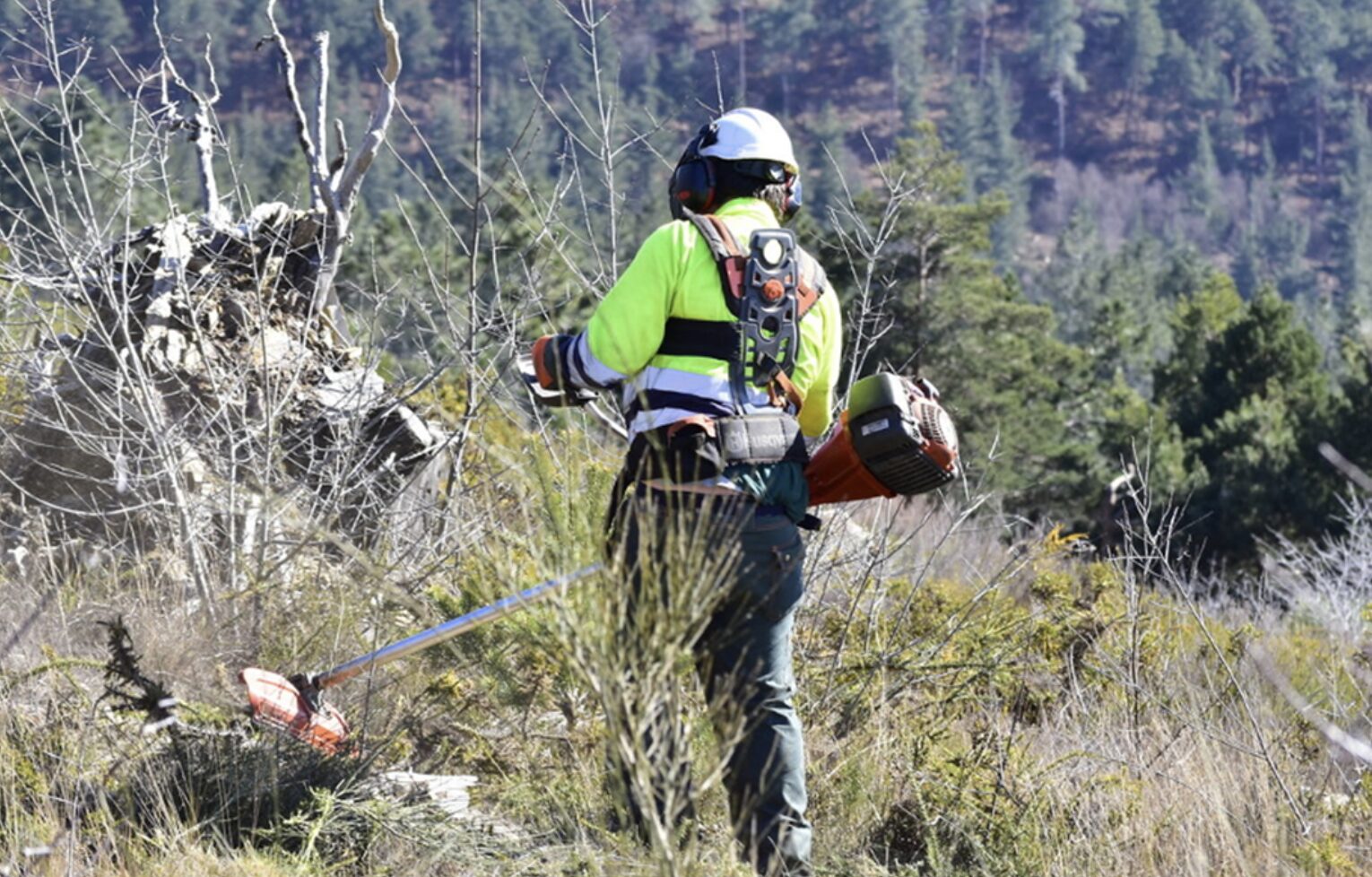 Solidaridad logra que la justicia condene a Tragsa por impago de atrasos salariales a un trabajador en Ceuta